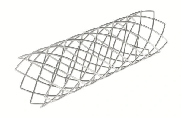 Drug Eluting & Bare Metal Stents